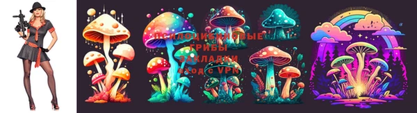 а пвп мука Вяземский